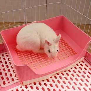 兔兔用品厕所龙猫豚鼠荷兰猪尿盆大号兔子通用小号三角便盆屎盆