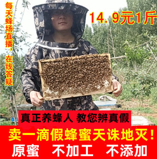 纯蜂蜜纯正天然成熟原蜜农家自产百花蜜野生宗枣洋槐野山花土蜂蜜