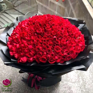 情人节西安鲜花同城速递999 520红白粉玫瑰生日求婚表白花束 365