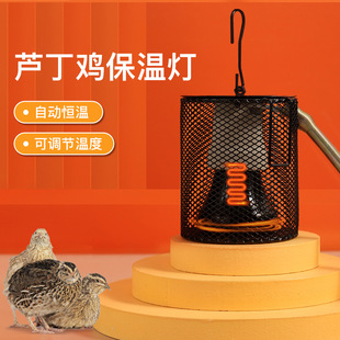 芦丁鸡保温灯卢丁鸡专用饲养箱陶瓷灯取暖养殖育雏小鸡加温加热灯