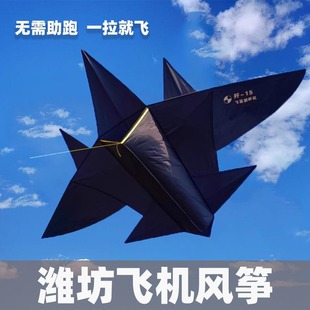 潍坊飞机风筝2024新款 儿童微风易飞大人专用成人战斗机风筝高档