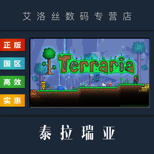 PC中文正版 沙盒联机游戏 礼物 国区 兑换码 steam平台 泰拉瑞亚 Terraria 全新成品账号 激活码