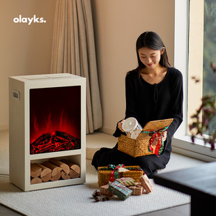 olayks欧莱克原创设计暖风机电暖气取暖器家用仿真火焰实木电壁炉
