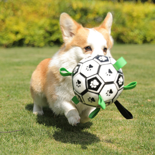 狗狗玩具球边牧自嗨玩具拉布拉多柯基训练专用狗足球耐咬宠物用品