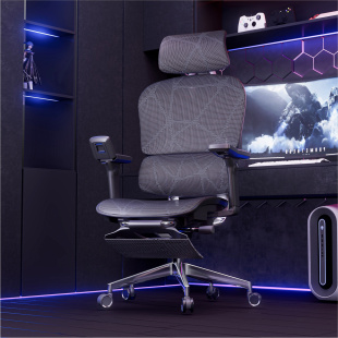 Ergoup有谱电竞椅FLY E300人体工学椅电脑椅子家用舒服久坐男游戏