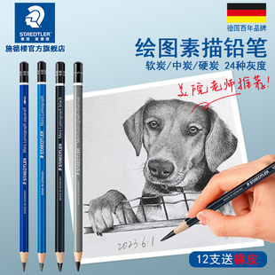 德国施德楼100蓝杆素描铅笔套装 绘画碳笔书写绘图素描2h6b8b12b炭笔绘图hb学生铅笔速写铅笔艺考美术生专用