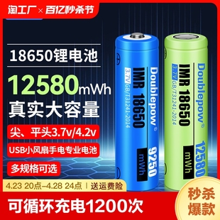 倍量18650锂电池3.7v手电筒4.2v小风扇电蚊拍充电器套装 5号强光