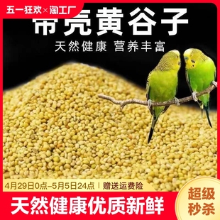 鸟粮新黄谷子鹦鹉饲料食虎皮玄凤牡丹带壳小米食物粮食5斤优质