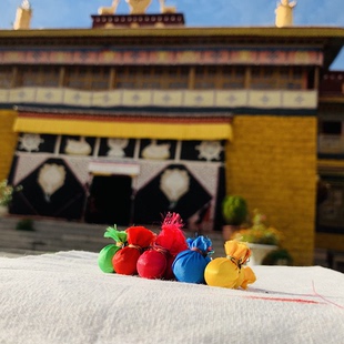西藏拉萨扎基 财宝丸 五种颜色 财富丸 拉萨财神院扎基拉姆