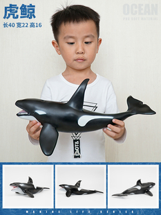 虎鲸逆戟鲸大鲸鱼鲸鲨虎鲨仿真玩具模型海洋动物超大软胶儿童男孩