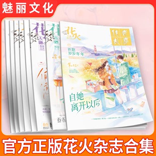 花火杂志普通 官方正版 B版 彩版 青春文学短篇杂志合集