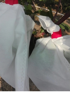量大优惠无纺布葡萄套袋防水防鸟防虫可露天使用透气水果套袋
