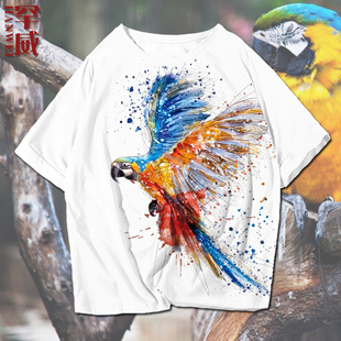 动物鹦鹉绘画鸟创意图案速干短袖 T恤衫 上衣服 男女半袖 体恤夏个性