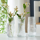 浮雕玻璃花瓶大号透明水养富贵竹ins高颜值客厅装 饰家用插花摆件