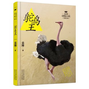 新华书店 绘本 鸵鸟王 袁博动物小说美绘本儿童读物 图画书9787537681001 童书