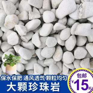 硬质大颗粒珍珠岩养花专用土白石子铺面石家用花卉通用种植营养土