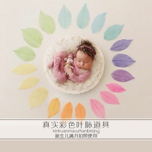 新生儿摄影道具 真实彩色叶脉 摄影道具 摄影道具宝宝儿童影楼风格