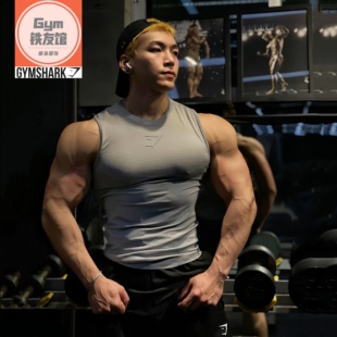 英国GYMSAHRK ONYX2.0超级英雄背心男坎肩3D蜂窝速干运动健身训练