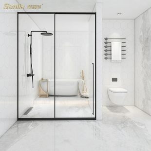 圣莉亚整体淋浴房一体式 卫浴家用浴室一字型玻璃门玻璃隔断移门