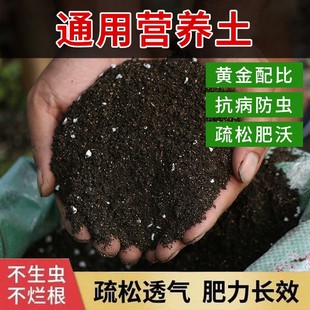 营养土通用型养花种菜土土壤多肉绿萝种植土有机花土泥土肥料60斤