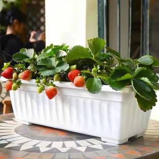 阳台种菜盆长方形花盆专用家庭蔬菜种植箱塑料树脂长条大号多肉