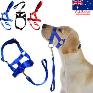 Halti Creative Halter Collar Dog Training Gentle Leader Head