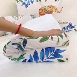 泰国乳胶枕头家用护颈进口枕头芯靠枕枕头套卡通枕芯儿童单人枕套