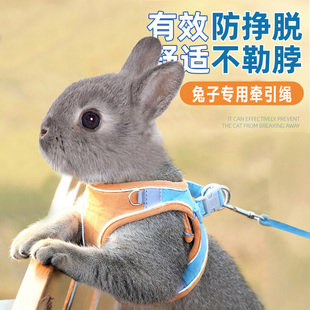 兔子牵引绳防挣脱专用溜小兔穿 衣服绳子宠物侏儒垂耳兔外出遛绳