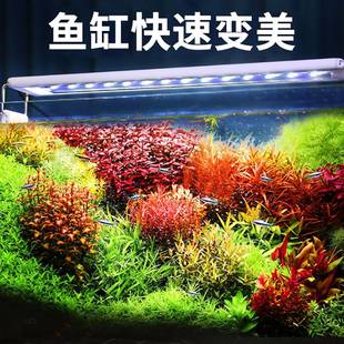 鱼缸防溅水照明专用全光谱小型增艳支架灯架水族箱爆藻水草灯