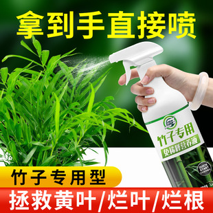 竹子免稀释专用营养液肥料家用盆栽植物液体肥室内养花绿植通用型