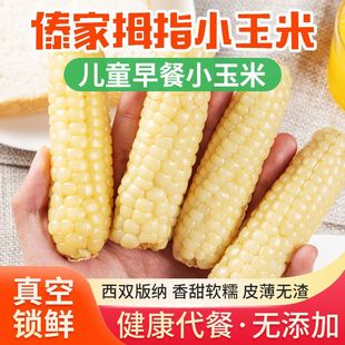 云南西双版 纳拇指玉米新鲜粘玉米儿童孕妇食品小个白糯玉米礼盒装