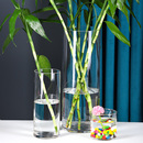 落地客厅摆件插花干花北欧玻璃花瓶透明直筒水培富贵竹水养瓶 包邮