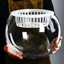 水培植物玻璃瓶透明花瓶水养容器绿萝花盆养鱼器皿大鱼缸室内摆件