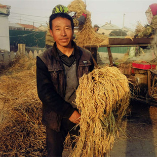 东北大米黑龙江五常农家自产特级稻花香2号纯稻米1斤装