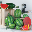 仿真西瓜模型假西瓜片水果蔬菜摄影居家装 饰早教画室道具玩具塑料