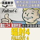 游戏 国区激活码 Steam正版 国区key Fallout CDKey现货 辐射4