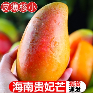 海南贵妃芒10斤芒果新鲜水果应当季 热带特产红金龙青甜心忙1斤
