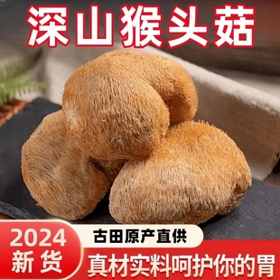 古田深山猴头菇干货煲汤猴菇头非新鲜500g菌菇袋装 批发直销养胃