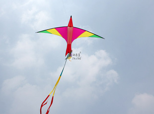 伞布火鸟风筝 潍坊风筝 树脂杆好飞 微风起飞 绚丽多彩
