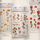 花之系列PET防水透明手账贴纸清新植物小雏菊装 饰手帐素材