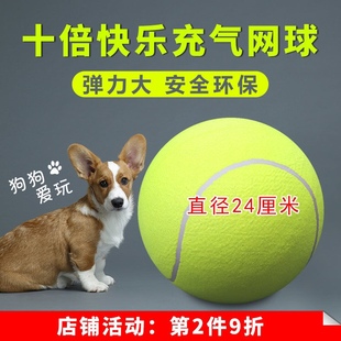 签名网球9.5寸充气大网球 宠物大网球狗狗充气大网球十倍快乐网球