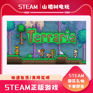 国区 PC中文正版 平台 游戏 steam 沙盒 泰拉瑞亚 Terraria 联机