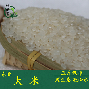 新米 东北米黑龙江特产五常大米 农家自产大米 稻花香米500克