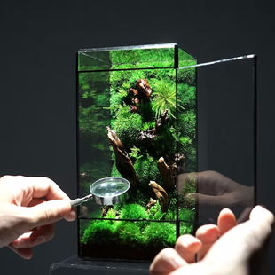 几何玻璃小型客厅生态盆桌面造景缸迷你雨林盒苔藓微景观水草缸