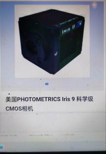 Iris 相机 photometrics 科学级 stm7议价 CMOS