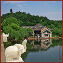 上海石丰大象喷水砂岩雕刻 户外喷泉 流水喷泉 园林水景 砂岩水景