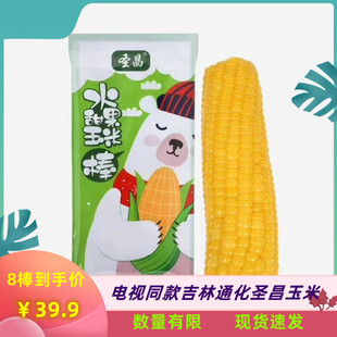 吉林通化圣昌玉米鲜食通化县玉米2024年新鲜玉米真空包装 白黄甜糯
