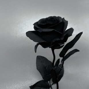 哥特黑玫瑰花拍摄道具白黑色假干花束仿真拍照不良jk手持扇子枯萎