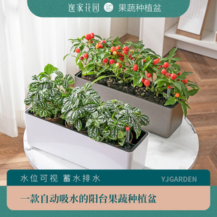 家用懒人阳台果蔬种植专用花盆种菜种花长方形种植箱自吸水塑料盆