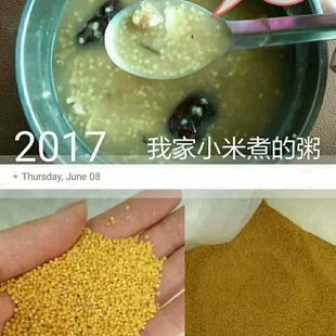 山西临县特产黄小米新米谷子脱壳带麸糠杂粮农家小黄米散装 米